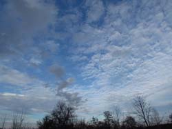 Picture_2 012